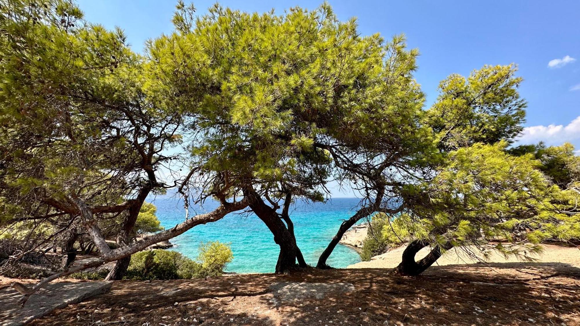 Appartement Vue Sur Mer Soul Family, Egine Aegina Ngoại thất bức ảnh